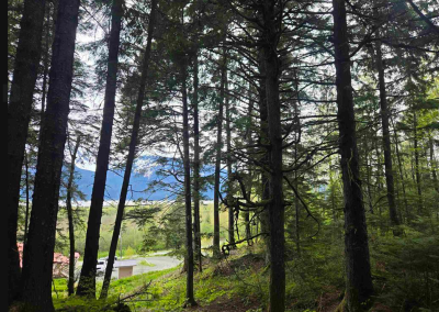 Land with partial Chilkat view